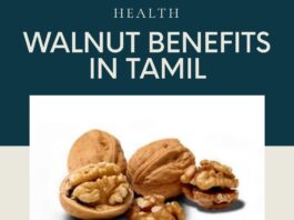 WALNUT BENEFITS IN TAMIL 1