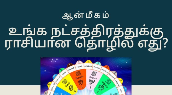 உங்க நட்சத்திரத்துக்கு ராசியான தொழில் எது? எந்த தொழில் அதிக லாபம் தரும்