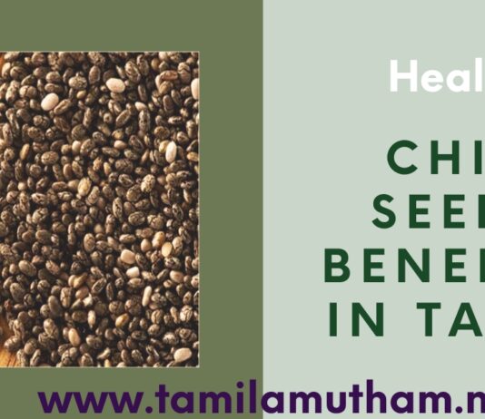 CHIA SEEDS IN TAMIL