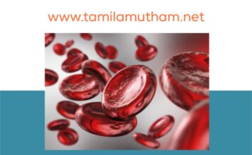 HEMOGLOBIN INCREASE FOOD IN TAMIL