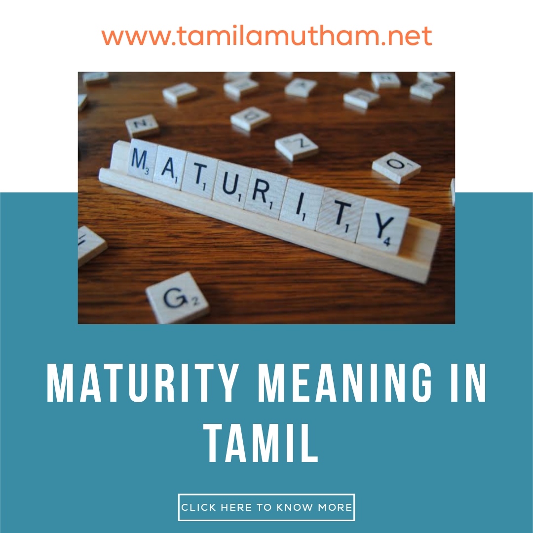  MATURITY MEANING IN TAMIL 2023 